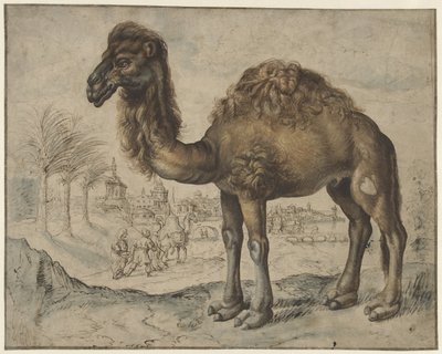 Dromedario en un paisaje oriental con una ciudad de Maerten de Vos