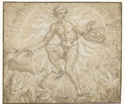 Ignis
Vier elementen (título de la serie) de Maerten de Vos