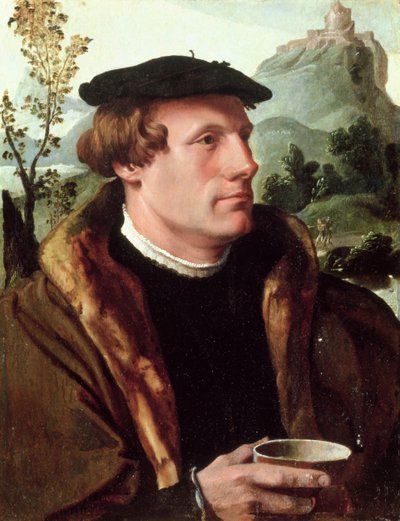 Retrato de un Caballero de Maerten van Heemskerck