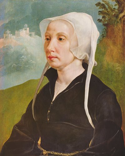 Retrato de mujer (óleo sobre tabla) de Maerten van Heemskerck
