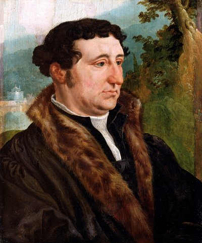 Retrato de un hombre de Maerten van Heemskerck