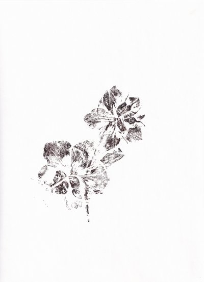 Impresiones florales abstractas de Maira Ribena