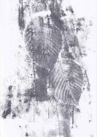 Texturas abstractas de hojas de Maira Ribena