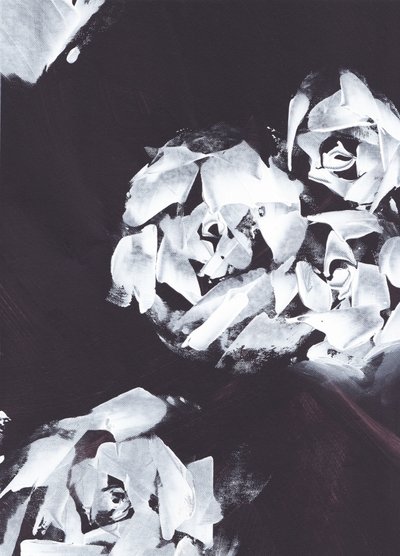 Estampado floral blanco abstracto de Maira Ribena