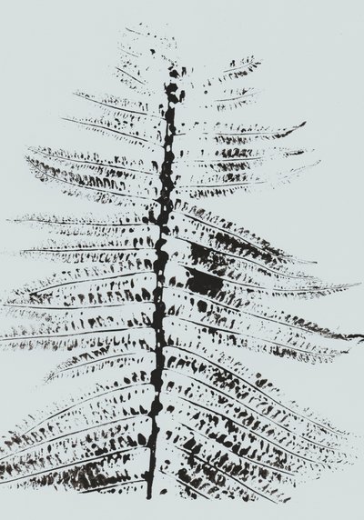 Black Ink Fern de Maira Ribena