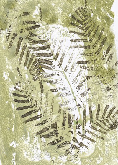 Impresiones de Green Fern de Maira Ribena
