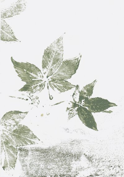 Impresiones de hoja verde de Maira Ribena