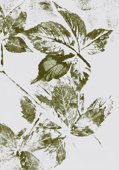 Estampados de hojas verdes de Maira Ribena