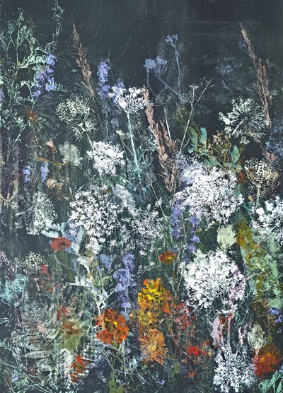  de Maira Ribena