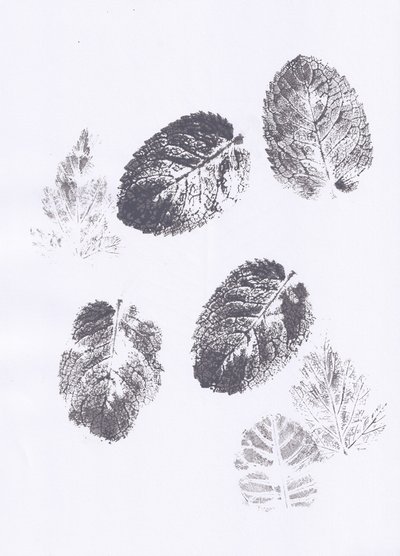 Huellas de hojas de menta de Maira Ribena