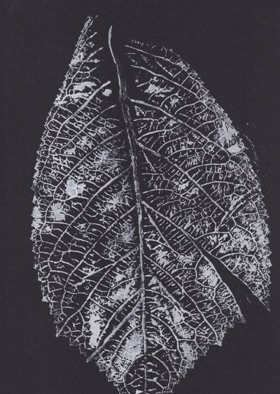 Diseño de hojas en blanco y negro de Maira Ribena
