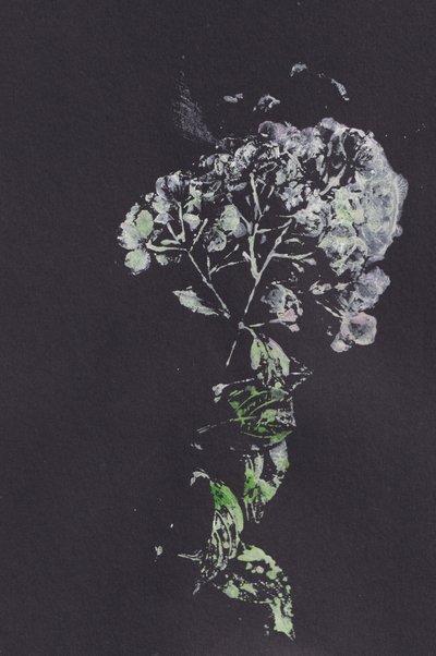 Impresión floral de Moody de Maira Ribena