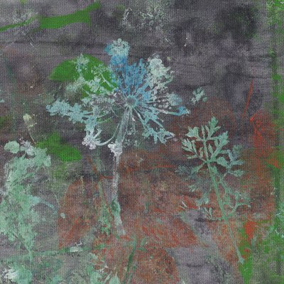  de Maira Ribena