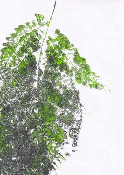 Helecho verde ecológico de Maira Ribena