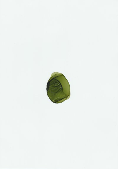 Fluido verde ecológico de Maira Ribena