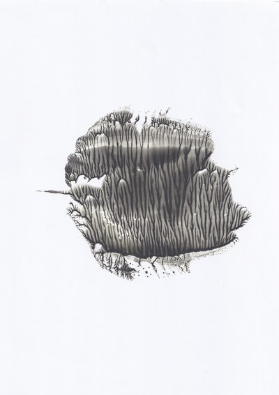 Flujo de tinta orgánica de Maira Ribena