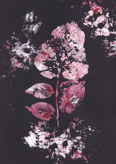 Impresión botánica en rosa de Maira Ribena