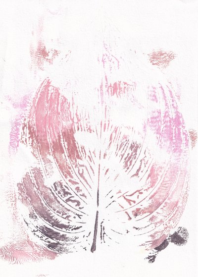 Hoja botánica rosa de Maira Ribena
