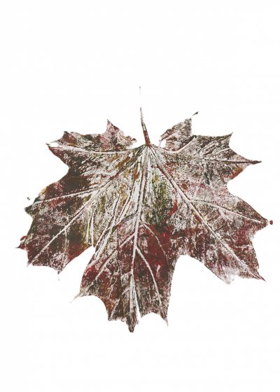 Hoja de arce otoñal de estilo rústico de Maira Ribena