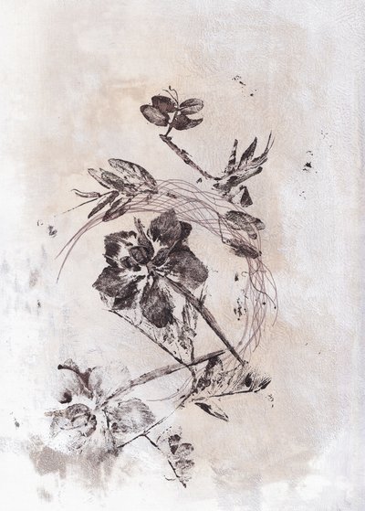 Sepia: Flujo botánico de Maira Ribena