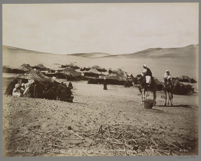 Campamento con tiendas y camellos en el desierto de (presuntamente) Egipto Scene du desert: Arrivée de chameliers à un campement de tribu. (título en el objeto) de Maison Bonfils