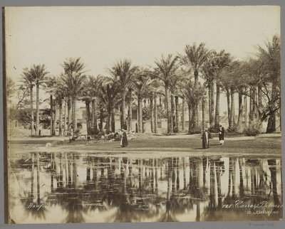 Hombres con cabras bajo palmeras junto al agua en Bedrechen Caire, Palmie[(...)] à Bedrecken (título sobre objeto) de Maison Bonfils