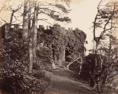 En Winterdyne on the Severn,1860s (foto) de Major Francis Gresley