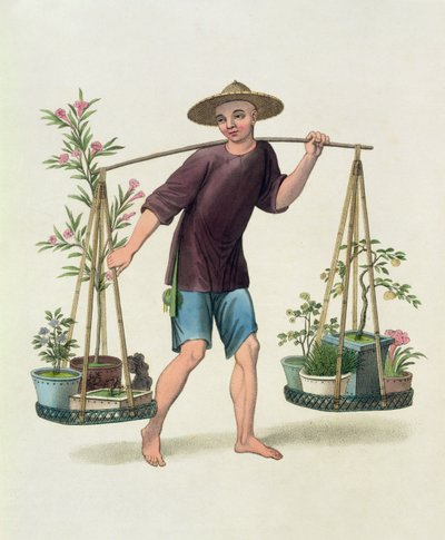 Un Portador con Árboles Frutales y Flores, lámina 16 de 