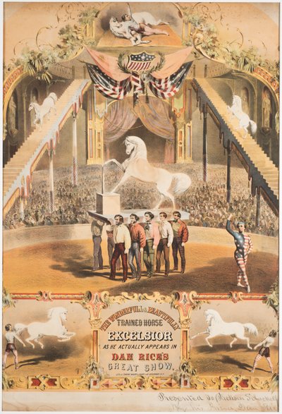 El maravilloso y bellamente entrenado caballo Excelsior, c.1840 de Major and Knapp Sarony