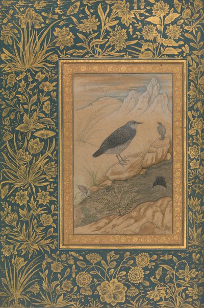 Zambullidor y otras aves, Folio del Álbum de Shah Jahan, recto: ca. 1610-15 de Mansur
