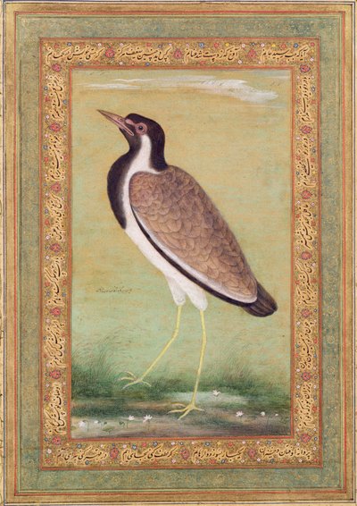 Avefría india, c.1800 de Mansur