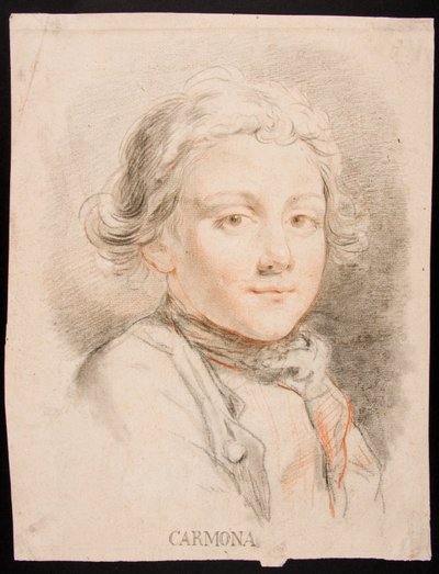 Retrato de un niño de Manuel Salvador Carmona