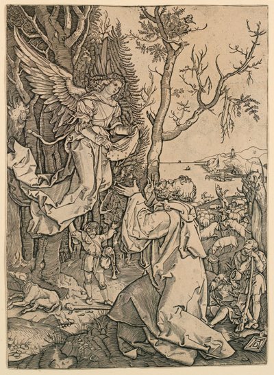 Ángel Apareciendo a Joaquín de Marc Antonio Raimondi
