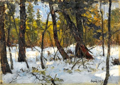 Bosque en invierno de Marc Aurele de Roy Suzor Cote