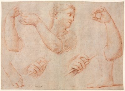 Estudio de una mujer joven que toca una pandereta y estudios de un brazo, manos y pies (estudios para "Miriam al frente del coro de mujeres que dan gracias por la derrota del faraón" de Marcantonio Franceschini