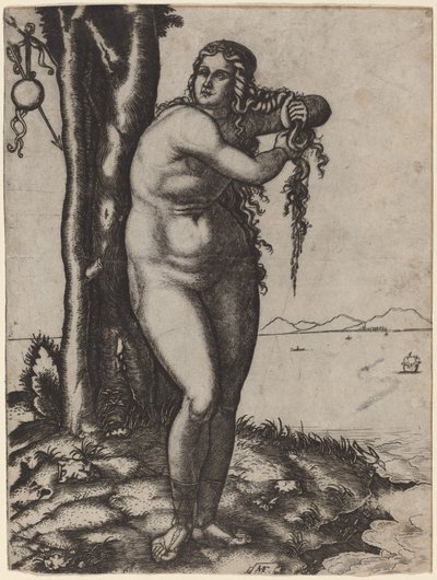 El Nacimiento de Venus de Marcantonio Raimondi