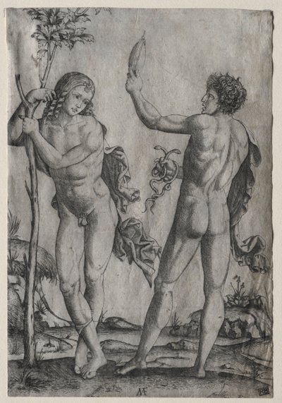 Dos hombres desnudos junto a un árbol de Marcantonio Raimondi