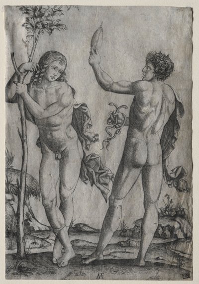 Dos hombres desnudos junto a un árbol de Marcantonio Raimondi