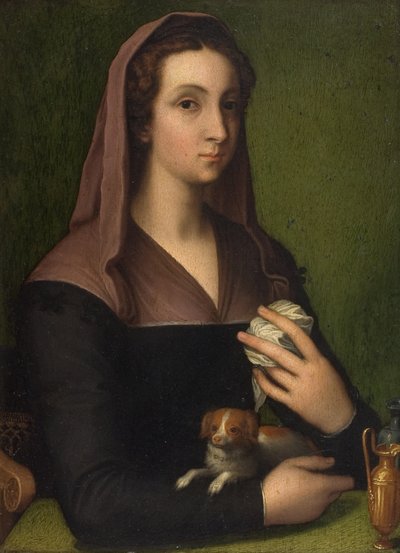 Retrato de una dama (óleo sobre tabla) de Marcello (follower of) Venusti