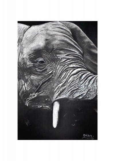 Retrato de un elefante majestuoso de Marchelle de Kock