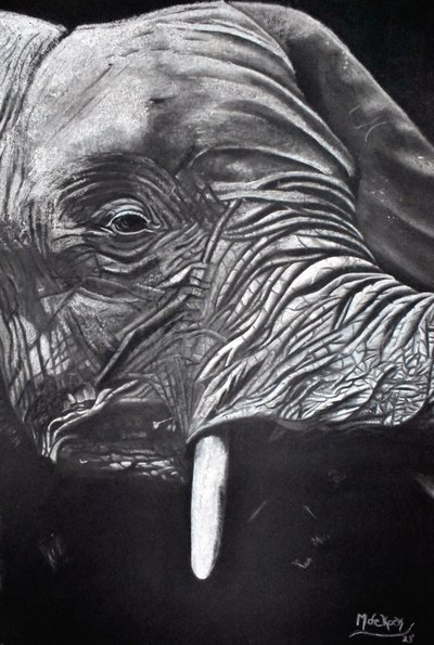 Retrato de un elefante majestuoso de Marchelle de Kock