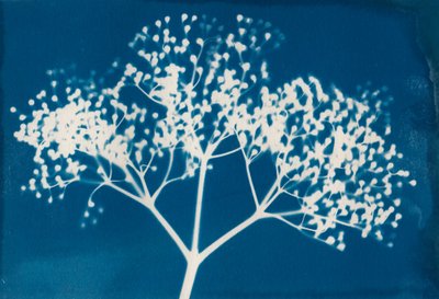 Cartas, 2014 (impresión xilográfica sobre papel) de Marco Campedelli
