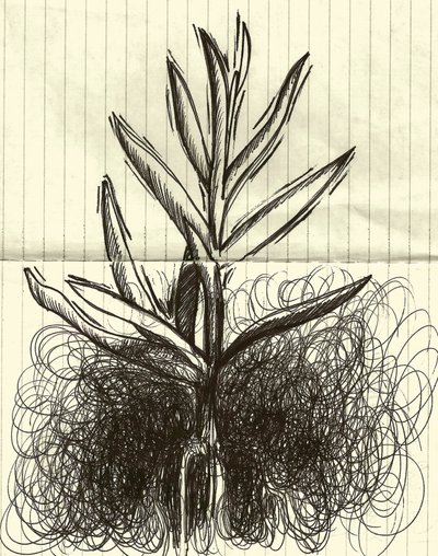 Planta, 2014 (tinta sobre papel) de Marco Campedelli