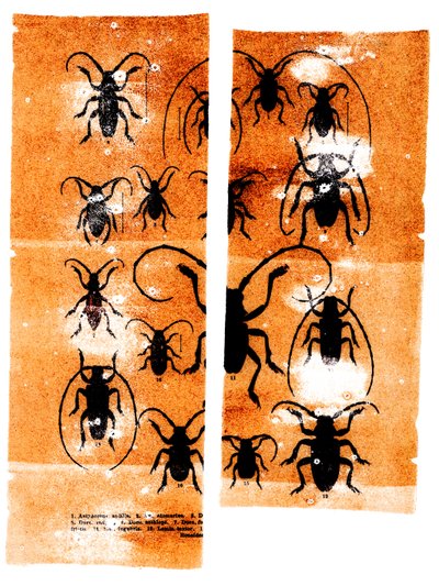 Bufandas, 2023 (técnica mixta) de Marco Campedelli