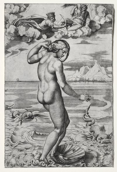 El nacimiento de Venus de Marco Dente