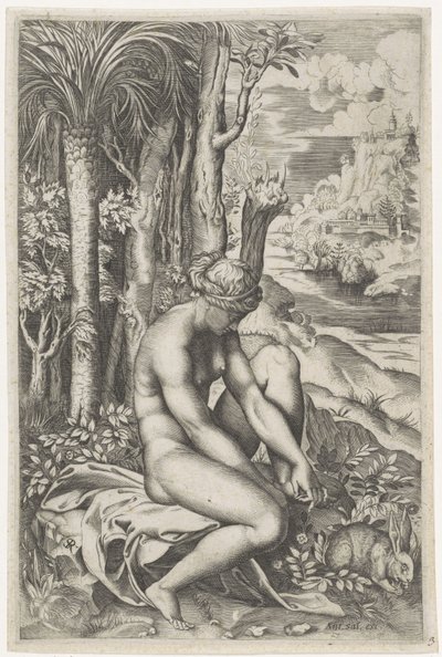 Venus herida por la espina de una rosa de Marco Dente