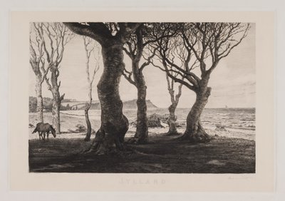 Paisaje de Jutlandia de Marcus Bech Fritz
