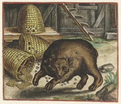 Fábula del oso y las abejas de Marcus Gheeraerts (I)