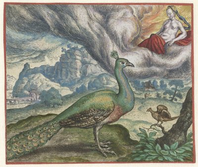 Fábula del pavo real y el ruiseñor de Marcus Gheeraerts (I)