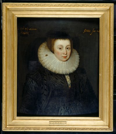 Lady Emily Howard de Marcus Gheeraerts